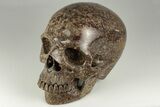 Carved Brown Rhyolite Stone Skull #199612-2